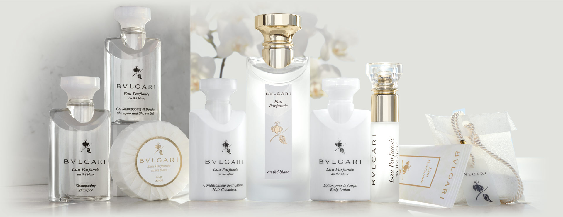 אמנטיס הסדרה הלבנה