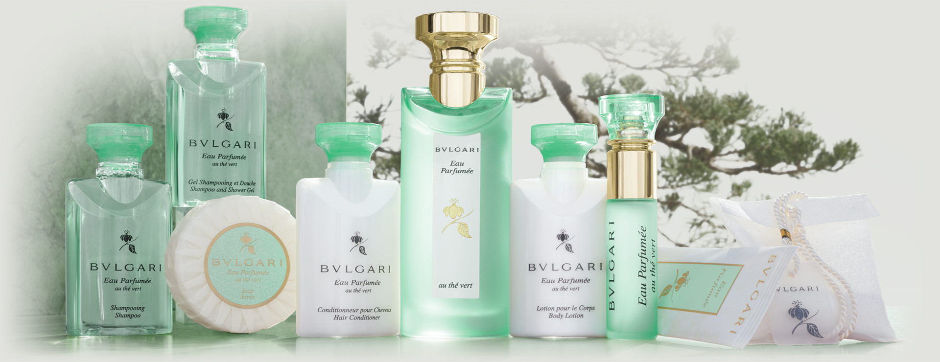 סידרת התה הירוק

 Bvlgari Eau Parfumée au The Vertסידרת הדגל הותיקה, בעלת ארומה מגרה, עם טונים חזקים ובלעדיים של תה ירוק יפני. המותג היוקרתי בולגרי נוסד בשנת 1884 ע"י התכשיטן האיטלקי סוטיריו בולגרי.

Bvlgari Eau Parfumée au The VertA stimulating aroma with powerful and exclusive notes of Japanese green tea. The prestigious Bulgari brand was founded in 1884 by the Italian jeweler Sotirio Bvlgari.